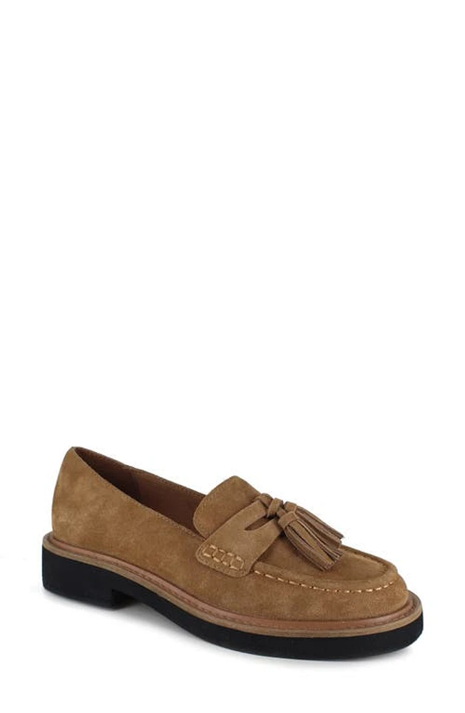 Splendid Caio Tassel Loafer Macchiato at Nordstrom,