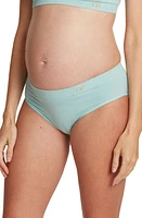 Cache Coeur Zoe Maternity Briefs at Nordstrom,