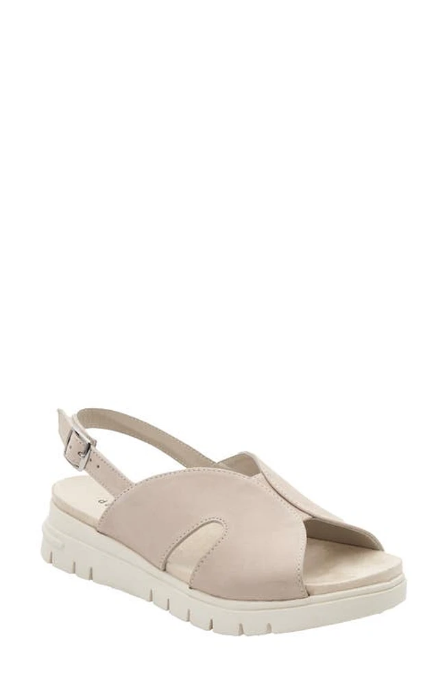 David Tate Madona Unit Slingback Sandal at Nordstrom,