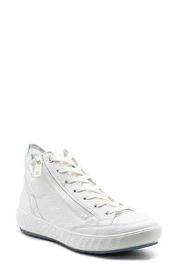 ara Aurora High Top Sneaker in White Calf at Nordstrom, Size 6