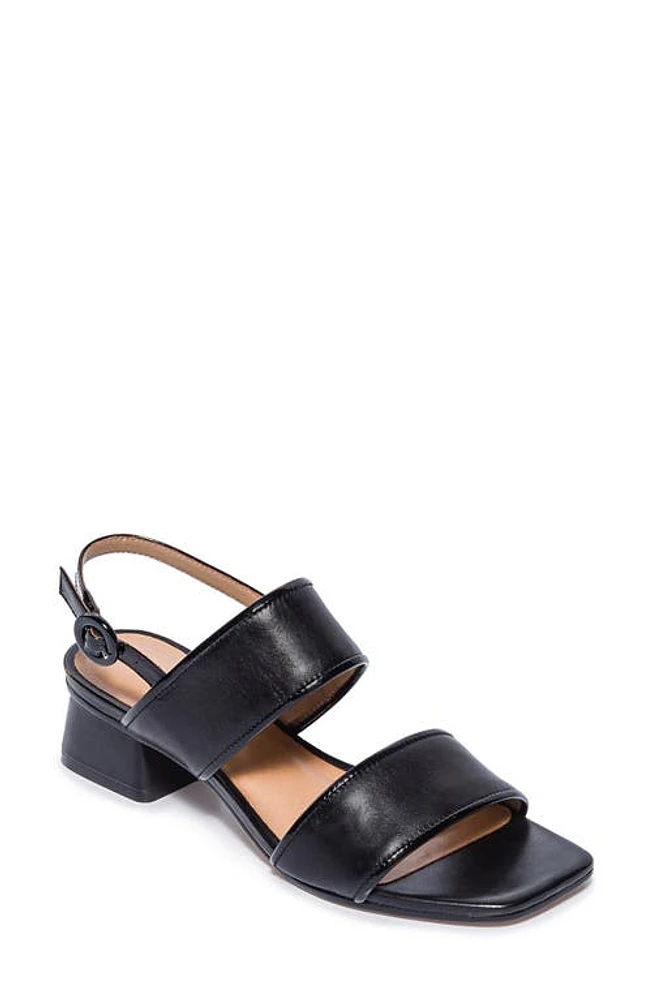 BERNARDO FOOTWEAR Jasper Block Heel Sandal at Nordstrom,