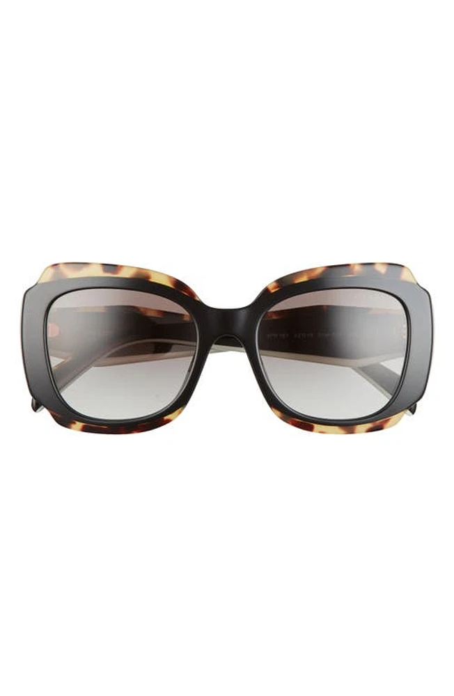 Prada 52mm Geometric Sunglasses in Black /Havana at Nordstrom