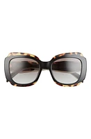 Prada 52mm Geometric Sunglasses in Black /Havana at Nordstrom