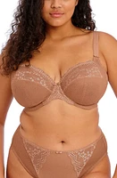 Elomi Charley Full Figure Underwire Convertible Plunge Bra at Nordstrom,