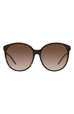 VOGUE 56mm Gradient Phantos Sunglasses in Dark Havana at Nordstrom