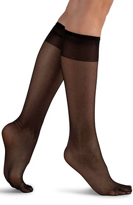 LECHERY 2-Pack Matte Silky Sheer 20 Knee High Socks in Black at Nordstrom