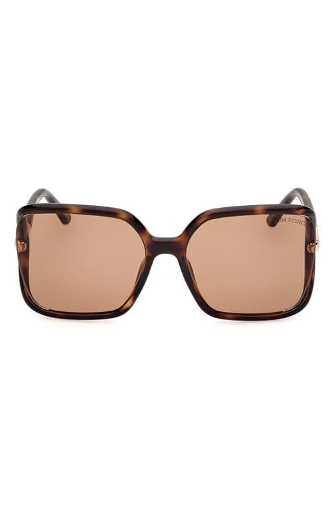 TOM FORD Solange-02 60mm Butterfly Sunglasses in Shiny Dark Havana /Brown at Nordstrom