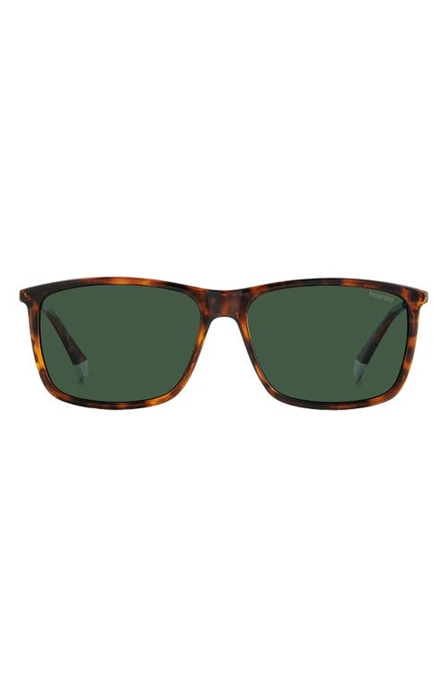 Polaroid 59mm Polarized Rectangular Sunglasses in Havana/Green Polar at Nordstrom