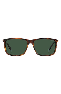 Polaroid 59mm Polarized Rectangular Sunglasses in Havana/Green Polar at Nordstrom