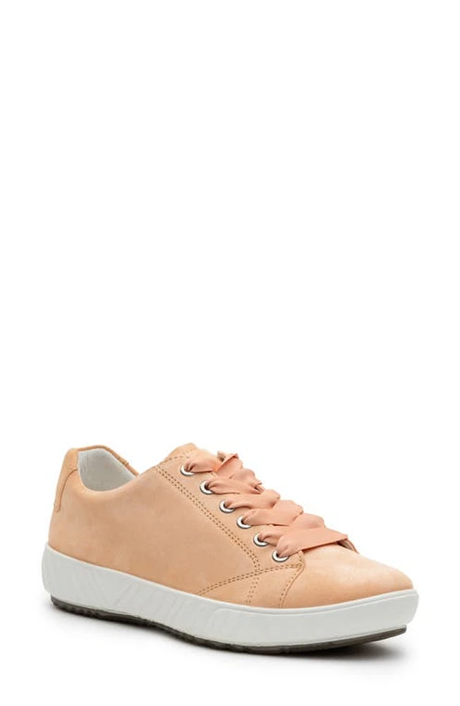 ara Alexandria Suede Sneaker Apricot at Nordstrom,