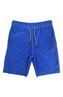 Appaman Kids' Drawstring Waist Terry Camp Shorts in Surf The Web at Nordstrom, Size 2T