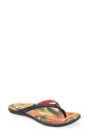 OluKai Ho'opio Hau Flip Flop /Pineapple at Nordstrom,