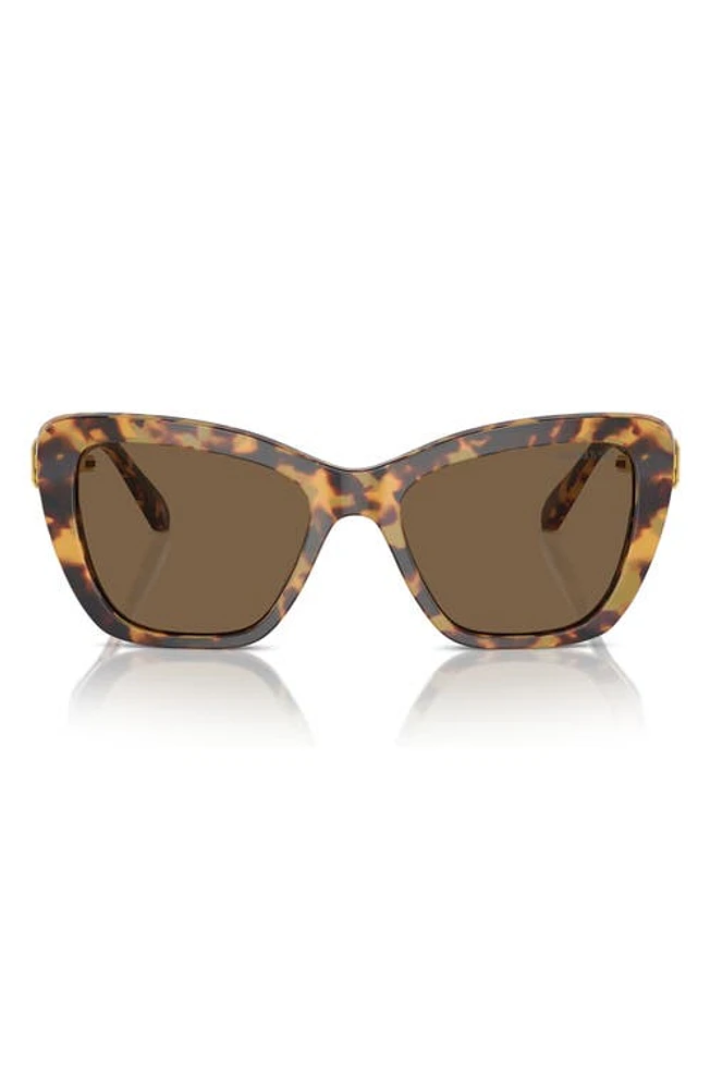 Swarovski 55mm Cat Eye Sunglasses in Dark Brown at Nordstrom