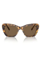 Swarovski 55mm Cat Eye Sunglasses in Dark Brown at Nordstrom