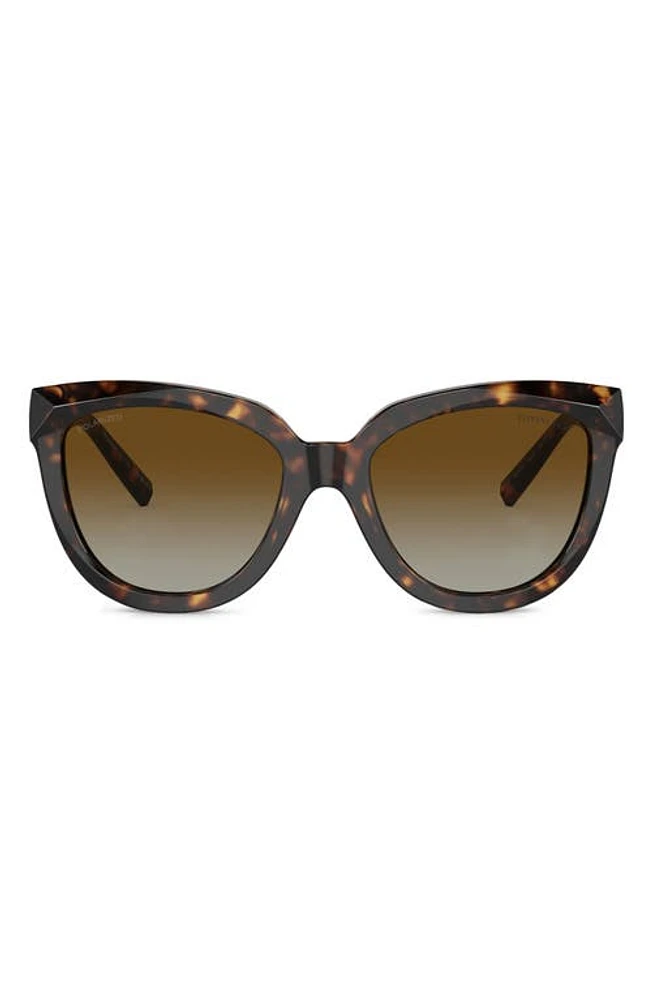 Tiffany & Co. 53mm Gradient Polarized Cat Eye Sunglasses in Havana at Nordstrom