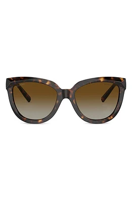 Tiffany & Co. 53mm Gradient Polarized Cat Eye Sunglasses in Havana at Nordstrom