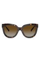 Tiffany & Co. 53mm Gradient Polarized Cat Eye Sunglasses in Havana at Nordstrom