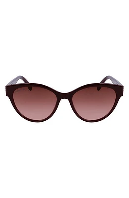 Lacoste 55mm Gradient Cat Eye Sunglasses in Burgundy at Nordstrom