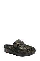 Alegria by PG Lite Clog at Nordstrom,