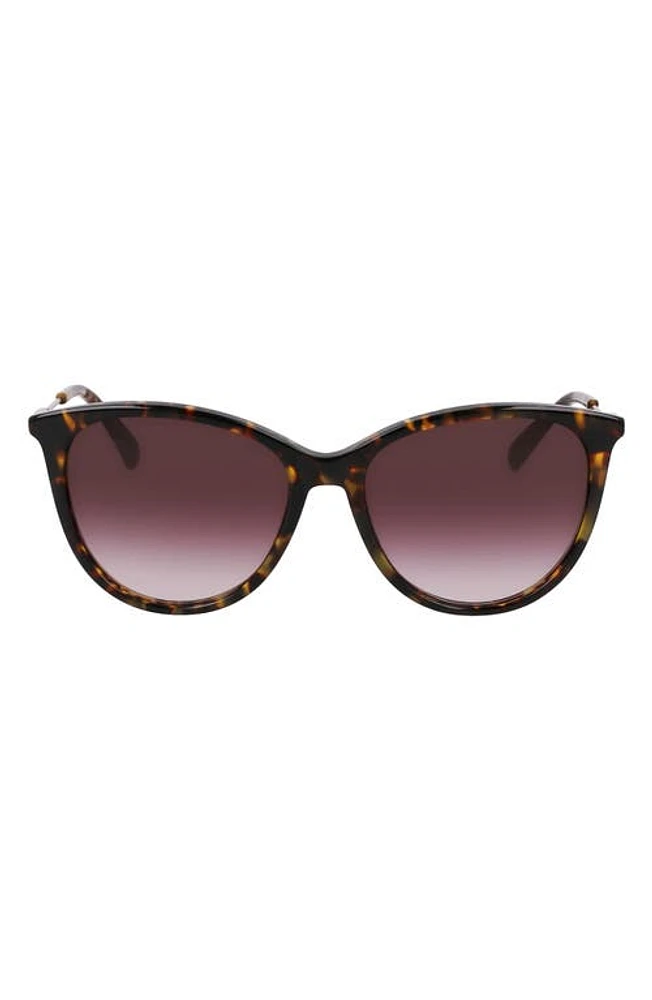 Longchamp 55mm Gradient Tea Cup Sunglasses in Dark Havana at Nordstrom