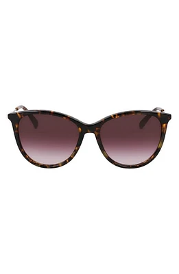 Longchamp 55mm Gradient Tea Cup Sunglasses in Dark Havana at Nordstrom