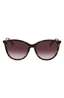 Longchamp 55mm Gradient Tea Cup Sunglasses in Dark Havana at Nordstrom