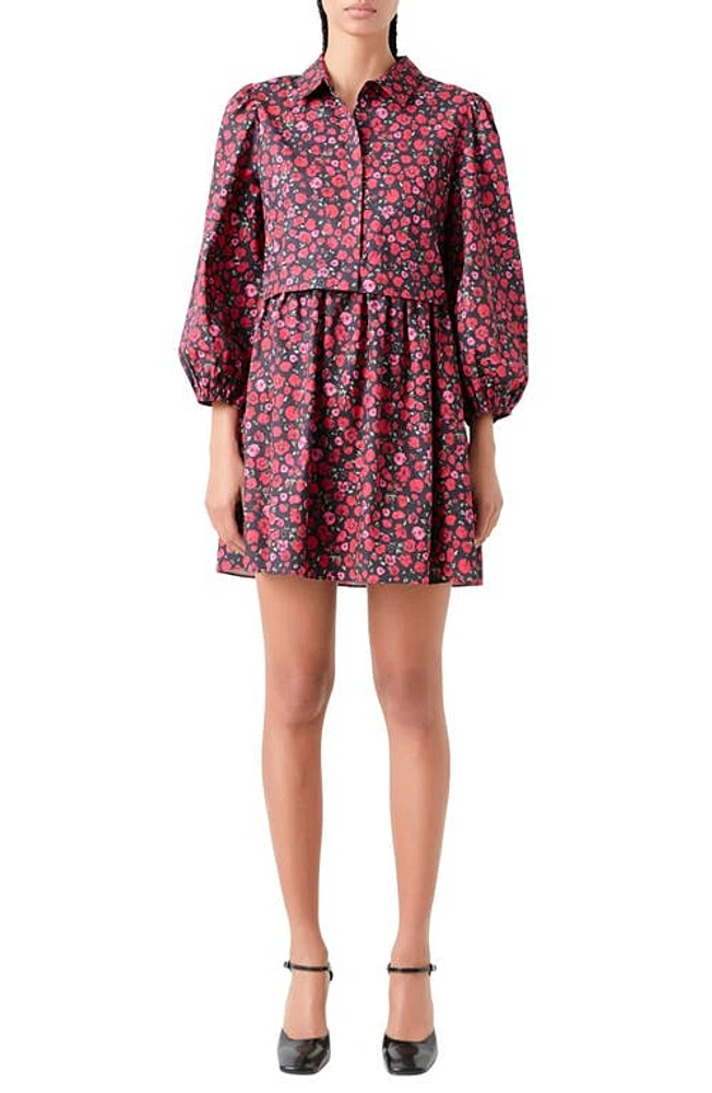 English Factory Floral Mini Shirtdress Black/Pink/Red at Nordstrom,