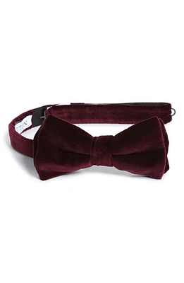 Eton Velvet Bow Tie in Pink/red at Nordstrom