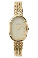 BREDA Jane Mesh Strap Watch, 23mm in Gold at Nordstrom