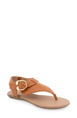 Aerosoles Isa Buckle Sandal Grainy Pu at Nordstrom,