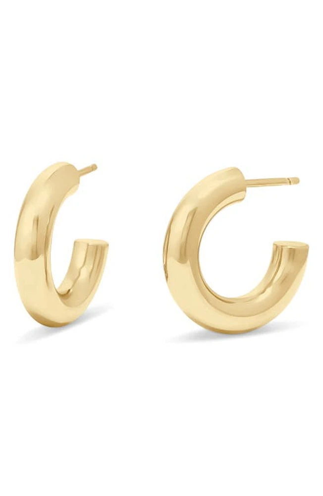 Brook and York Rina Tube Hoop Earrings in Gold at Nordstrom