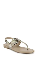 Naturalizer Taylor Slingback Flip Flop Lime Faux Snake Leather at Nordstrom,