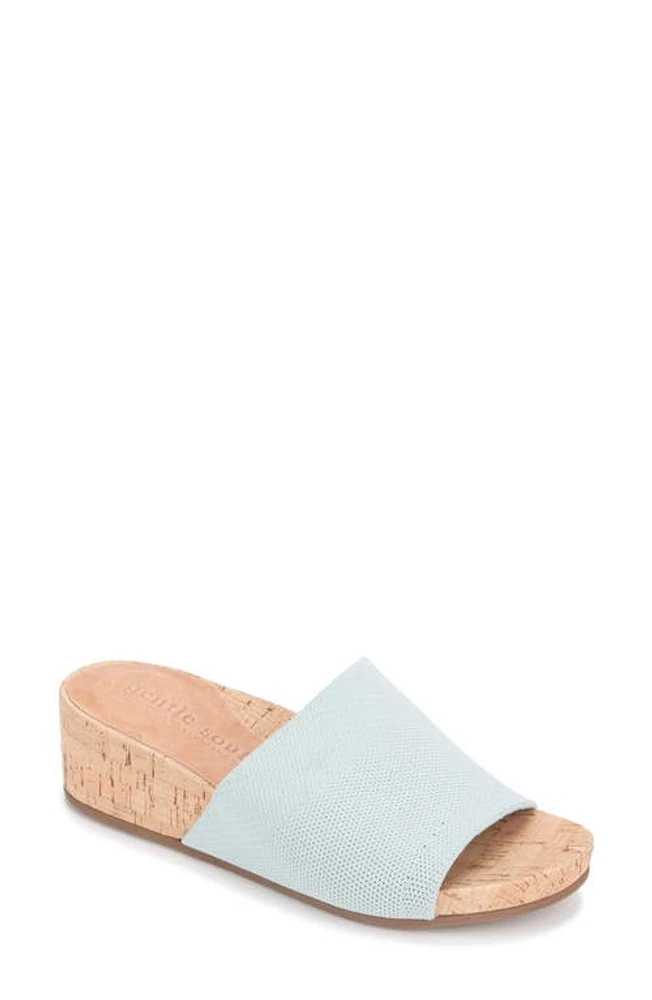 Gentle Souls Signature Gisele Wedge Sandal in Pale Blue at Nordstrom, Size 9