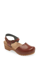 Sanita Sansi Clog at Nordstrom,