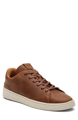 TOMS TRVL LITE Sneaker Brown at Nordstrom,