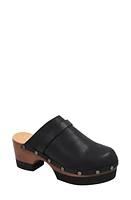 André Assous Olivia Stud Clog Black at Nordstrom,