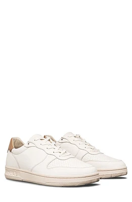 CLAE Malone Sneaker Off-White Camel Brown at Nordstrom,