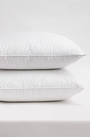 Allied Home Hotel Luxe Set of 2 Herringbone Quilted Pillows in White at Nordstrom