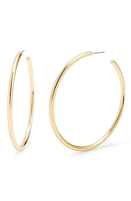 Brook and York Hayley Hoop Earrings in Gold at Nordstrom