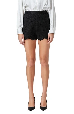 Endless Rose Lace Shorts at Nordstrom,