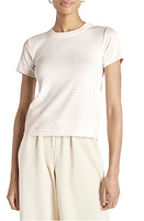 Splendid x Cella Jane Stripe T-Shirt in White/Lite Taupe at Nordstrom, Size Medium