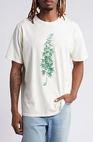 ONE OF THESE DAYS More Peace Freedom Cotton Graphic T-Shirt at Nordstrom,