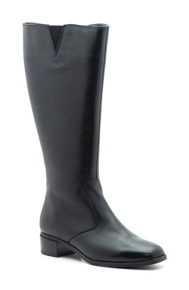 ara Grantham Riding Boot Black at Nordstrom,