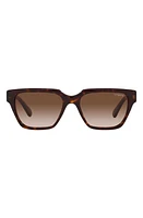 VOGUE 55mm Gradient Rectangular Sunglasses in Dark Havana at Nordstrom