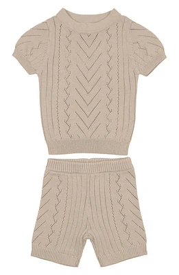 Manière Short Sleeve Pointelle Sweater & Shorts Set Sand at Nordstrom,