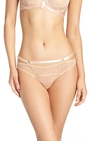 Dita Von Teese Madame X G-String Thong at Nordstrom, Us