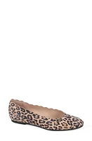 patricia green Palm Beach Scalloped Ballet Flat at Nordstrom,