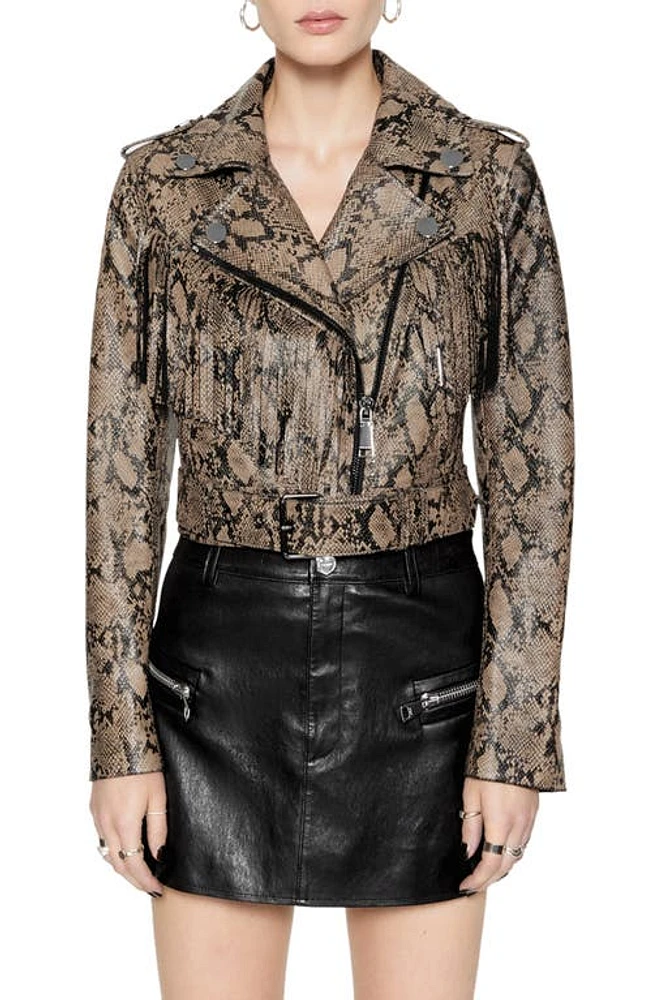 Rebecca Minkoff Janis Fringe Belted Leather Moto Jacket Python Printed Foil at Nordstrom,