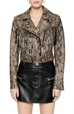 Rebecca Minkoff Janis Fringe Belted Leather Moto Jacket Python Printed Foil at Nordstrom,