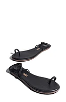 TKEES Phoebe Ankle Strap Sandal at Nordstrom,